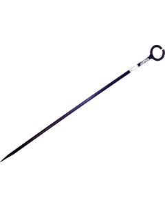 DeWit draadpen 600 x Ø 10 mm met oog