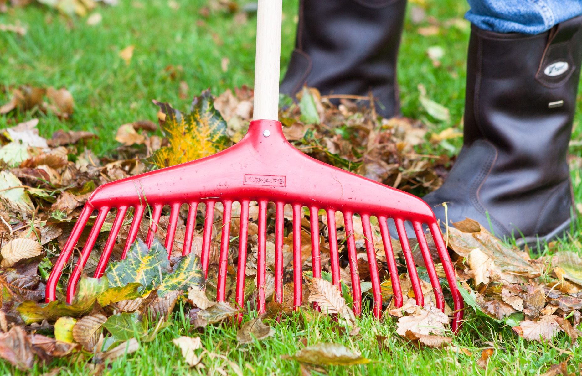 een bladhark harkt de losse bladeren bij elkaar