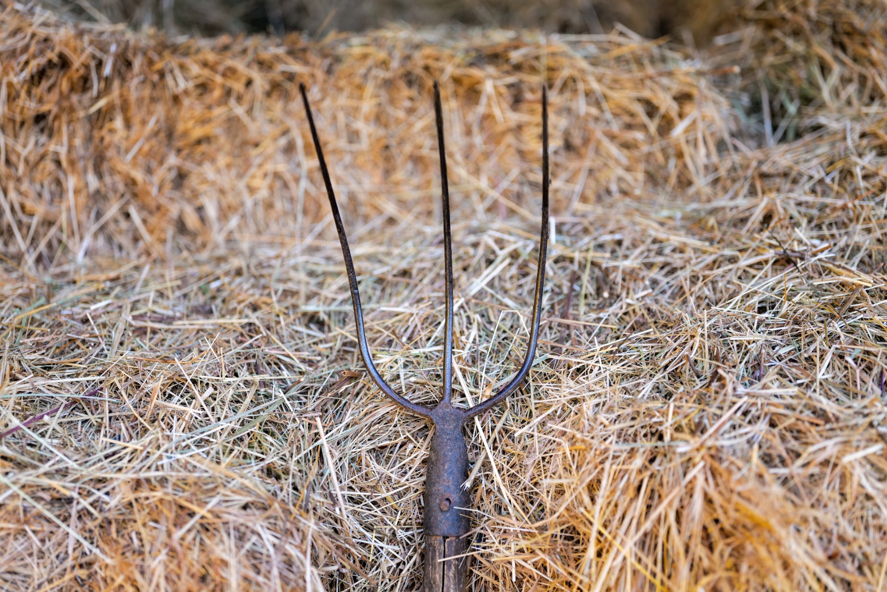 Met een hooivork kan je hooi verplaatsen